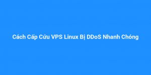 Cách Cấp Cứu VPS Linux Bị DDoS Nhanh Chóng